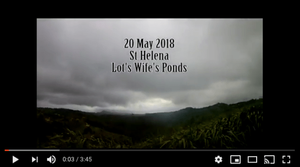 Screen Shot 2018-07-01 at 5.55.24 PM